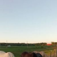 Camp Conley RV Park ico