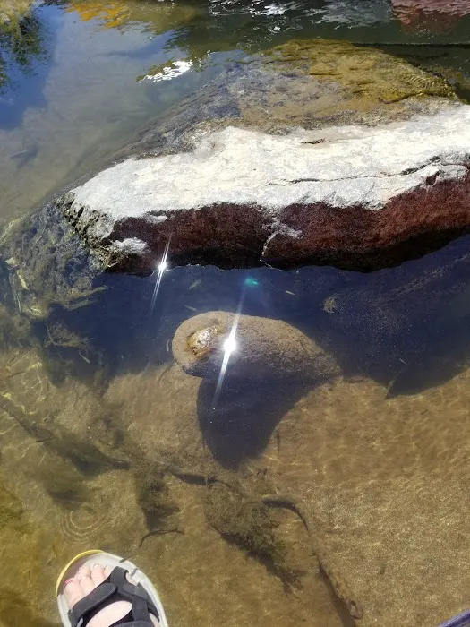 Whiskey Creek Campground Picture 5