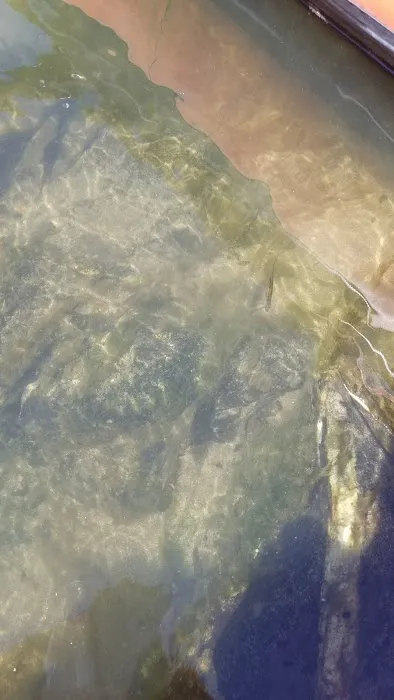 Whiskey Creek Campground Picture 6