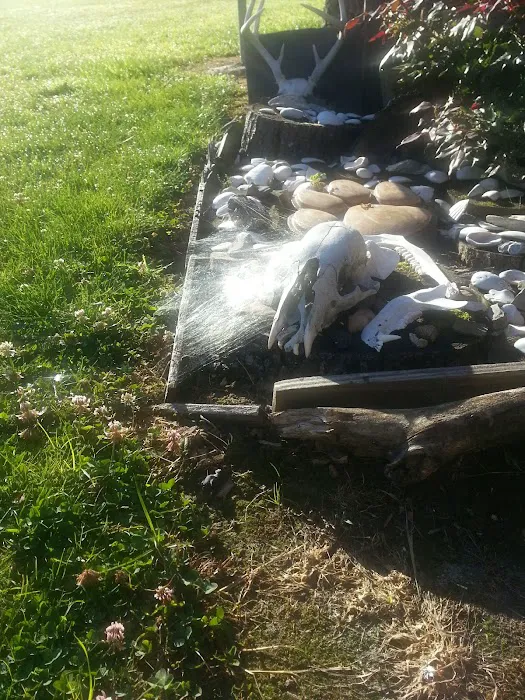 Quail Creek Inc Picture 5