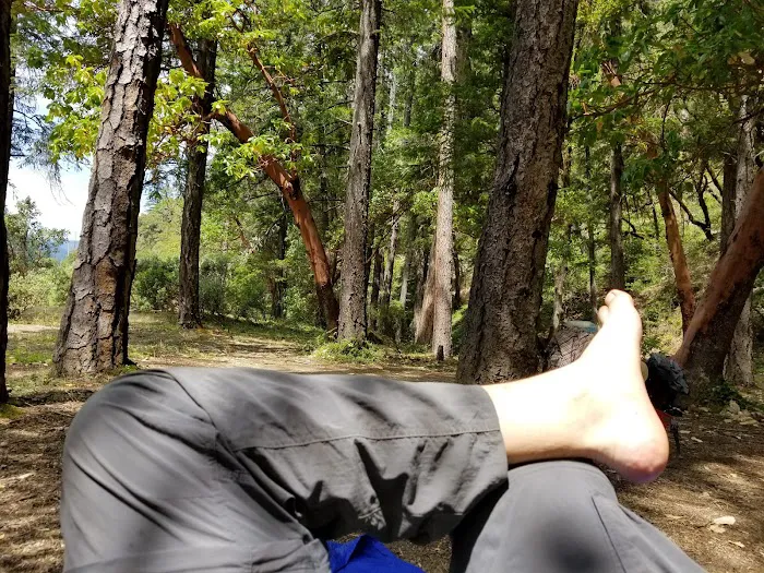 Big Slide Campground Picture 7