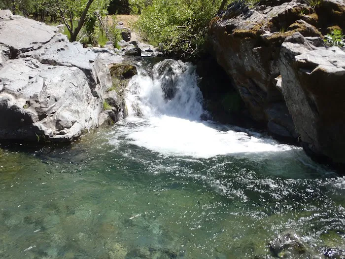 Tyee Campground Picture 3