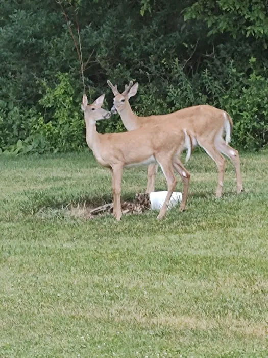 Sunny Acres Picture 2