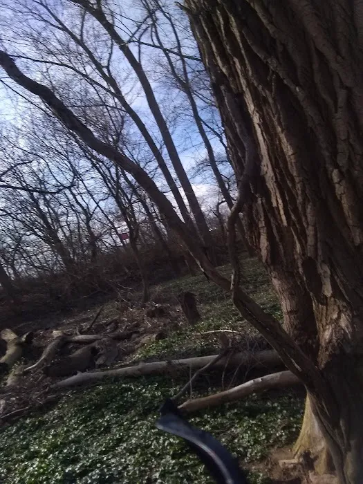 Sunny Acres Picture 8