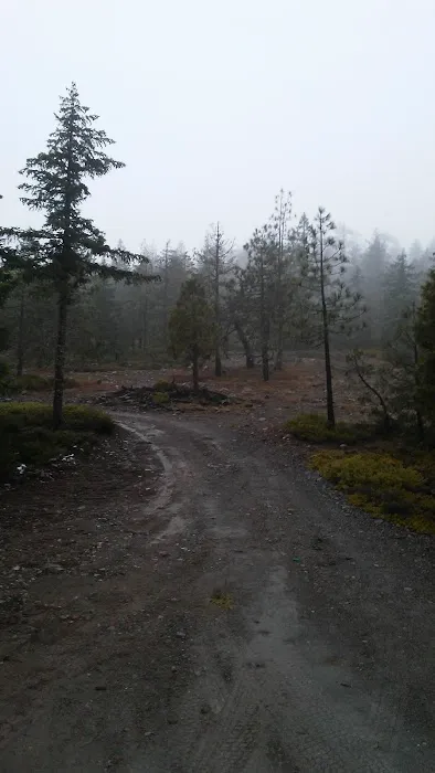 Mine Trail Campfire Lookout Picture 5