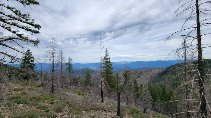 Mine Trail Campfire Lookout Picture 1