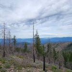 Mine Trail Campfire Lookout