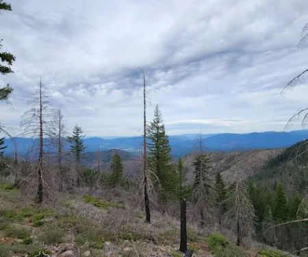 Mine Trail Campfire Lookout
