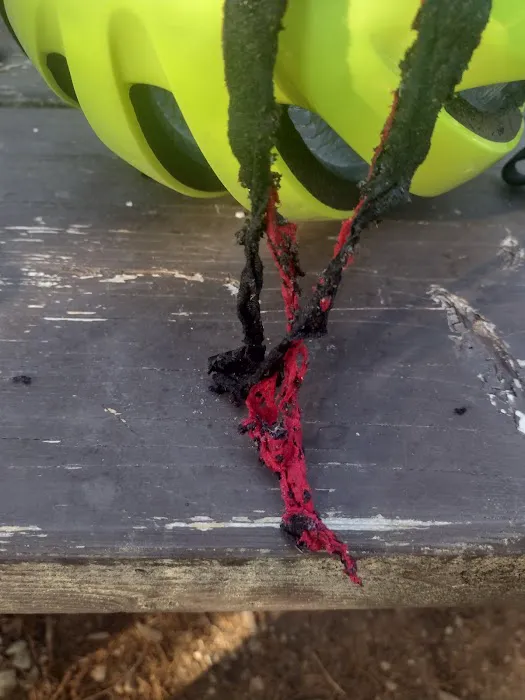 Tuchuck Campground Picture 2