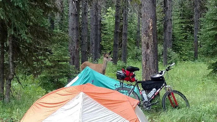 Tuchuck Campground Picture 7