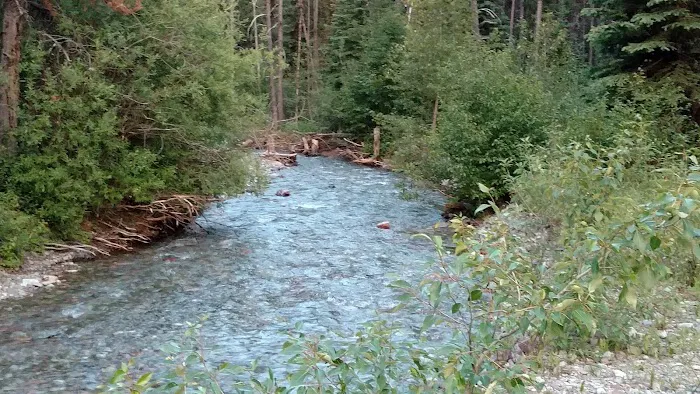 Tuchuck Campground Picture 8