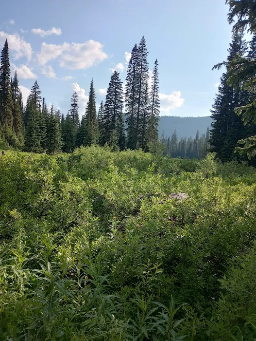 Red Meadow Lake Campground Picture 7