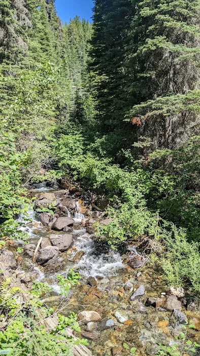 Red Meadow Lake Campground Picture 8