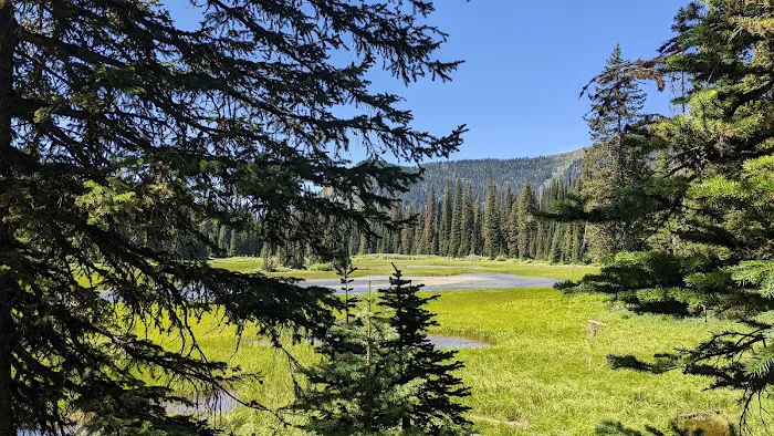 Red Meadow Lake Campground Picture 5