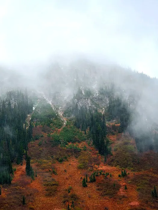 Red Meadow Lake Campground Picture 1