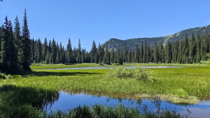 Red Meadow Lake Campground Picture 6