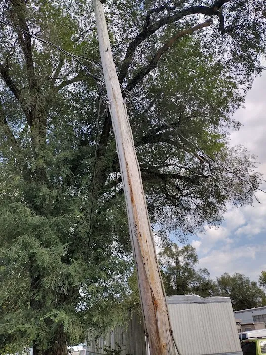 Nottingham Estates Picture 1