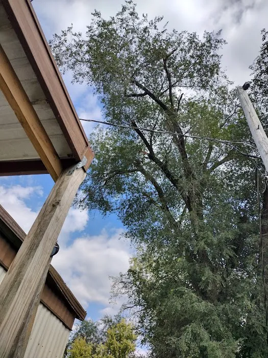 Nottingham Estates Picture 2