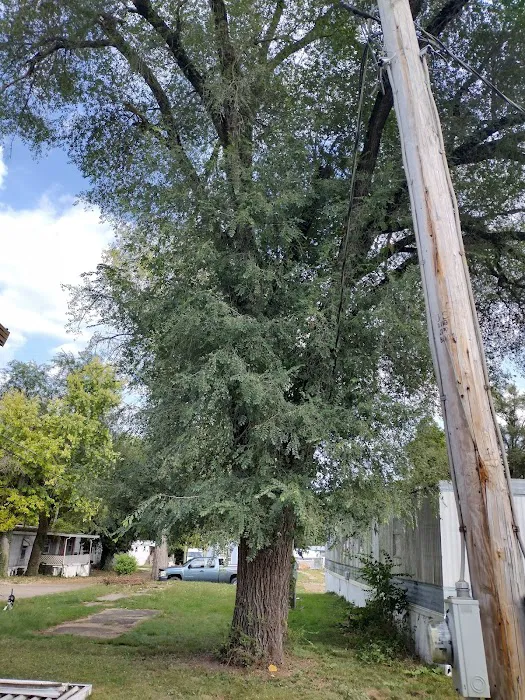 Nottingham Estates Picture 4