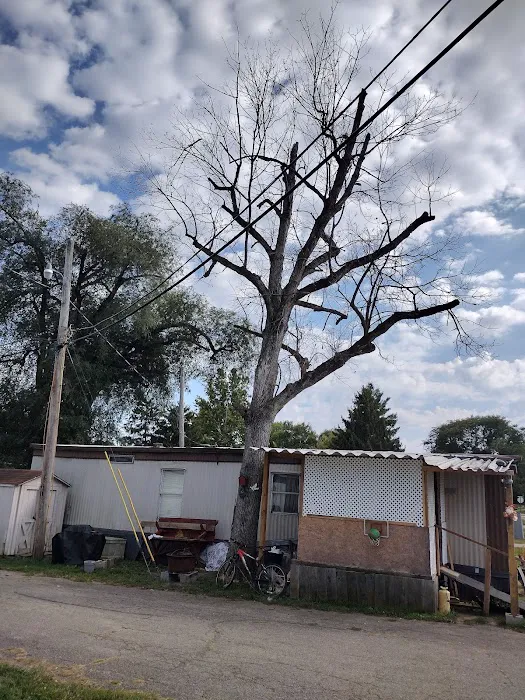 Nottingham Estates Picture 7