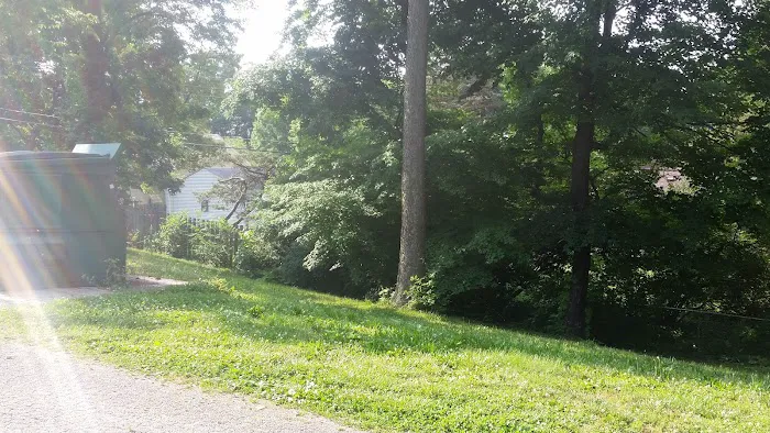 Nottingham Estates Picture 8