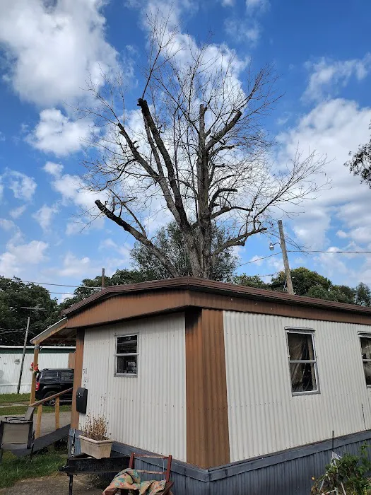 Nottingham Estates Picture 6