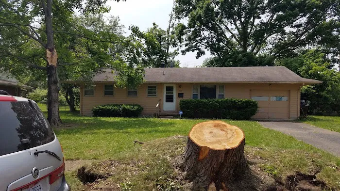 Nottingham Estates Picture 9