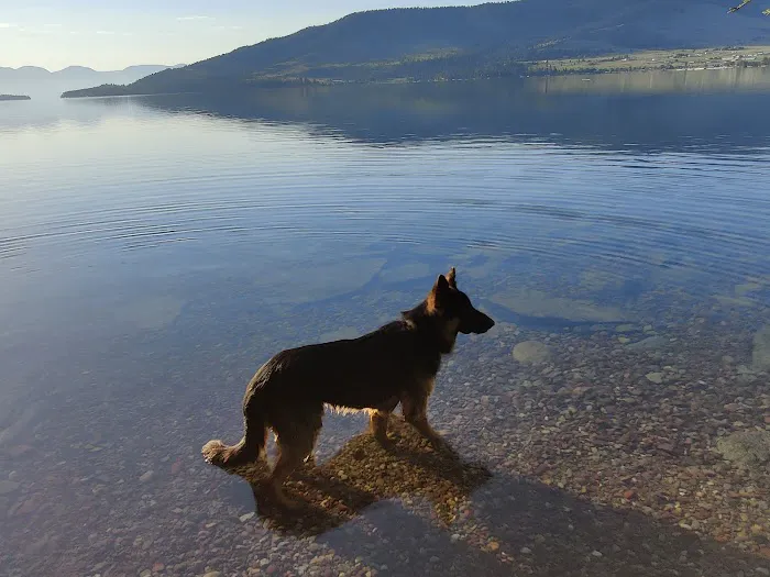 Big Arm Campground Picture 3