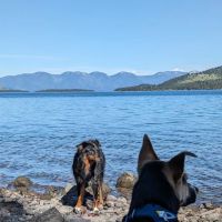 Big Arm Campground ico