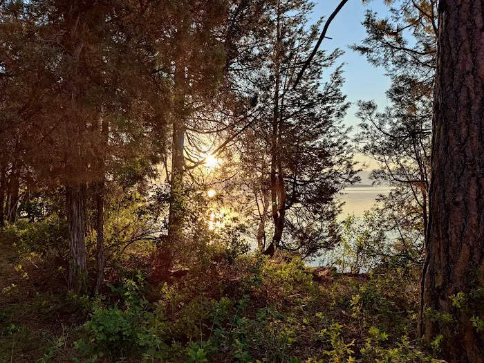 Big Arm Campground Picture 7