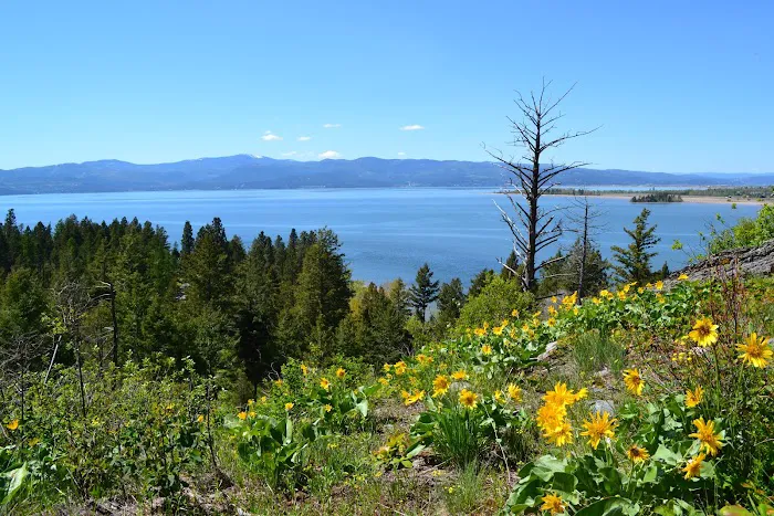 Wayfarers Campground Picture 8