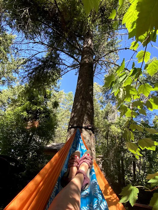 Outback Montana RV Park & Campground Picture 3