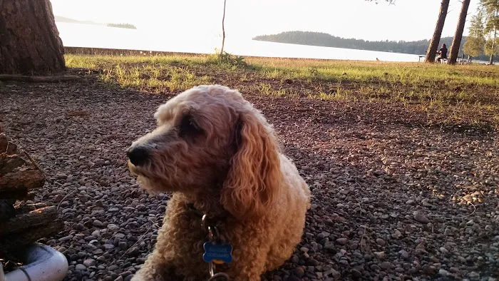 Finley Point Campground Picture 2