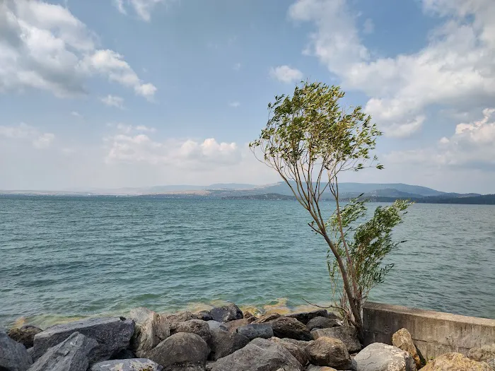 Finley Point Campground Picture 7