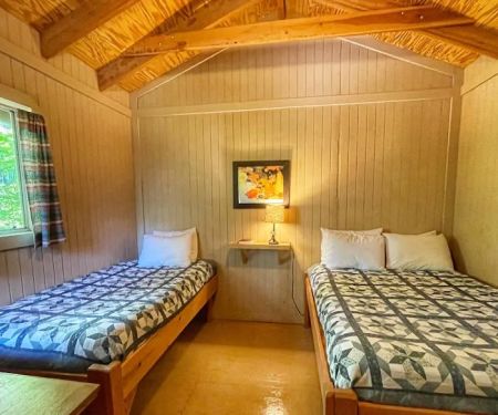 Timber Wolf Resort & Jeep Rentals