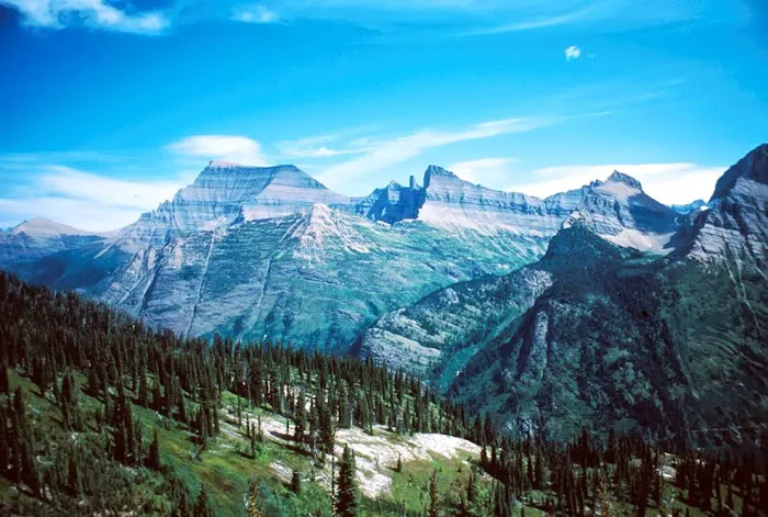 Timber Wolf Resort & Jeep Rentals Picture 2