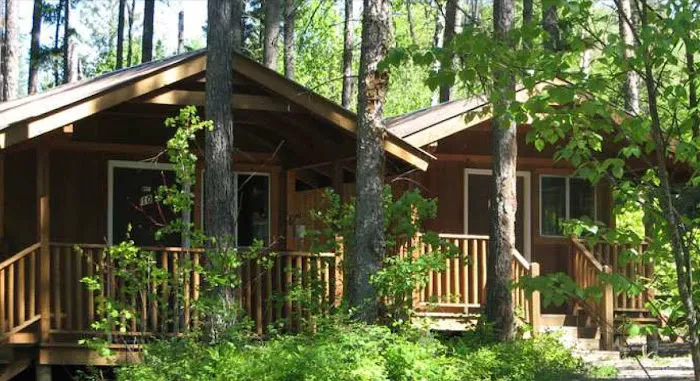 Timber Wolf Resort & Jeep Rentals Picture 3