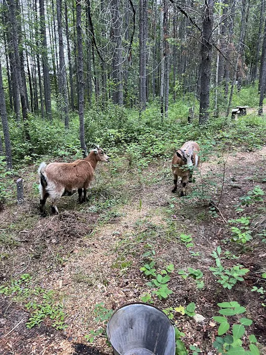 Glacier Glamping Picture 5