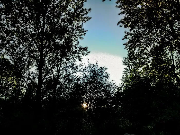 West Blankeship River Access Picture 9