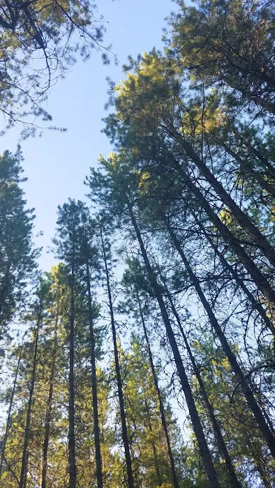 Sundance Campground Picture 6