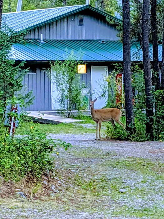 Sundance Campground Picture 5