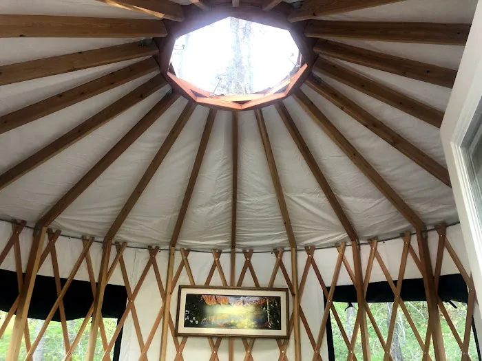 Mooseshroom Yurt Retreat and Campground Picture 1