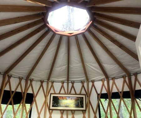 Mooseshroom Yurt Retreat and Campground