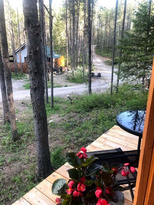 Mooseshroom Yurt Retreat and Campground Picture 9