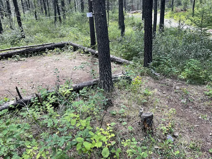 Mooseshroom Yurt Retreat and Campground Picture 4