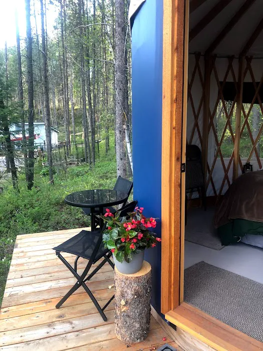 Mooseshroom Yurt Retreat and Campground Picture 2