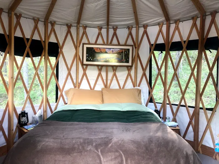 Mooseshroom Yurt Retreat and Campground Picture 3