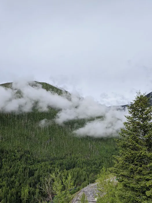 Doris Creek Campground Picture 1