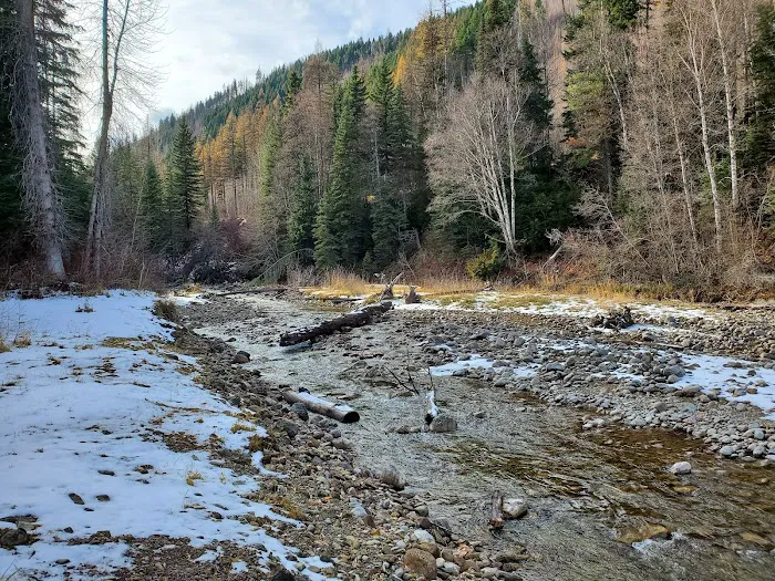 Doris Creek Campground Picture 7