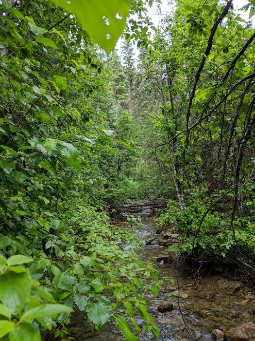 Doris Creek Campground Picture 3